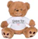 TEESANDTANKYOU Cute Custom Teddy Bear 1
