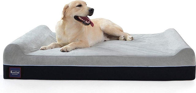 10 Best Dog Beds for Large Dogs in 2022 (PetFusion, Big Barker, and More) 4