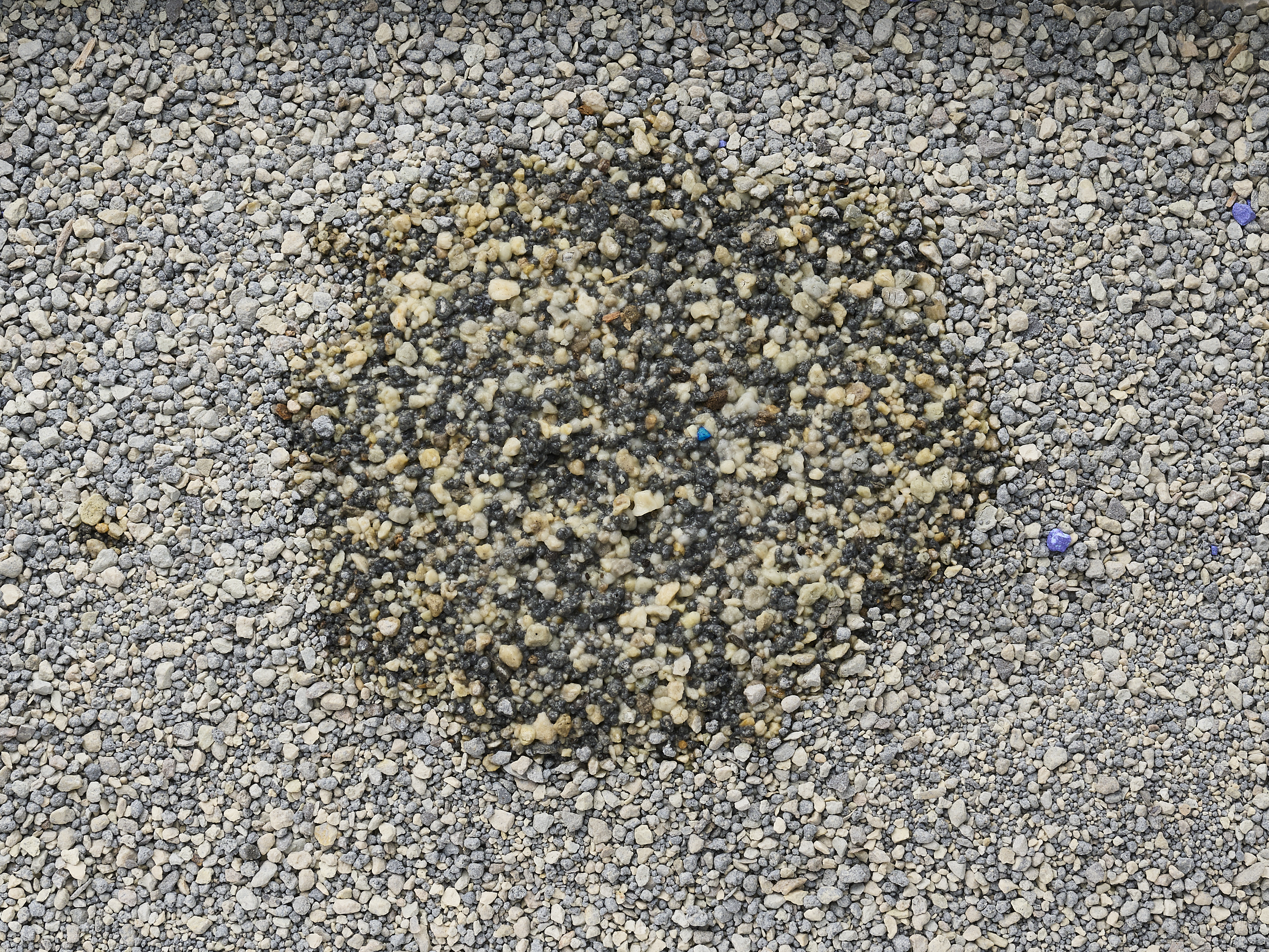 Multi-cat Clumping Litter 4