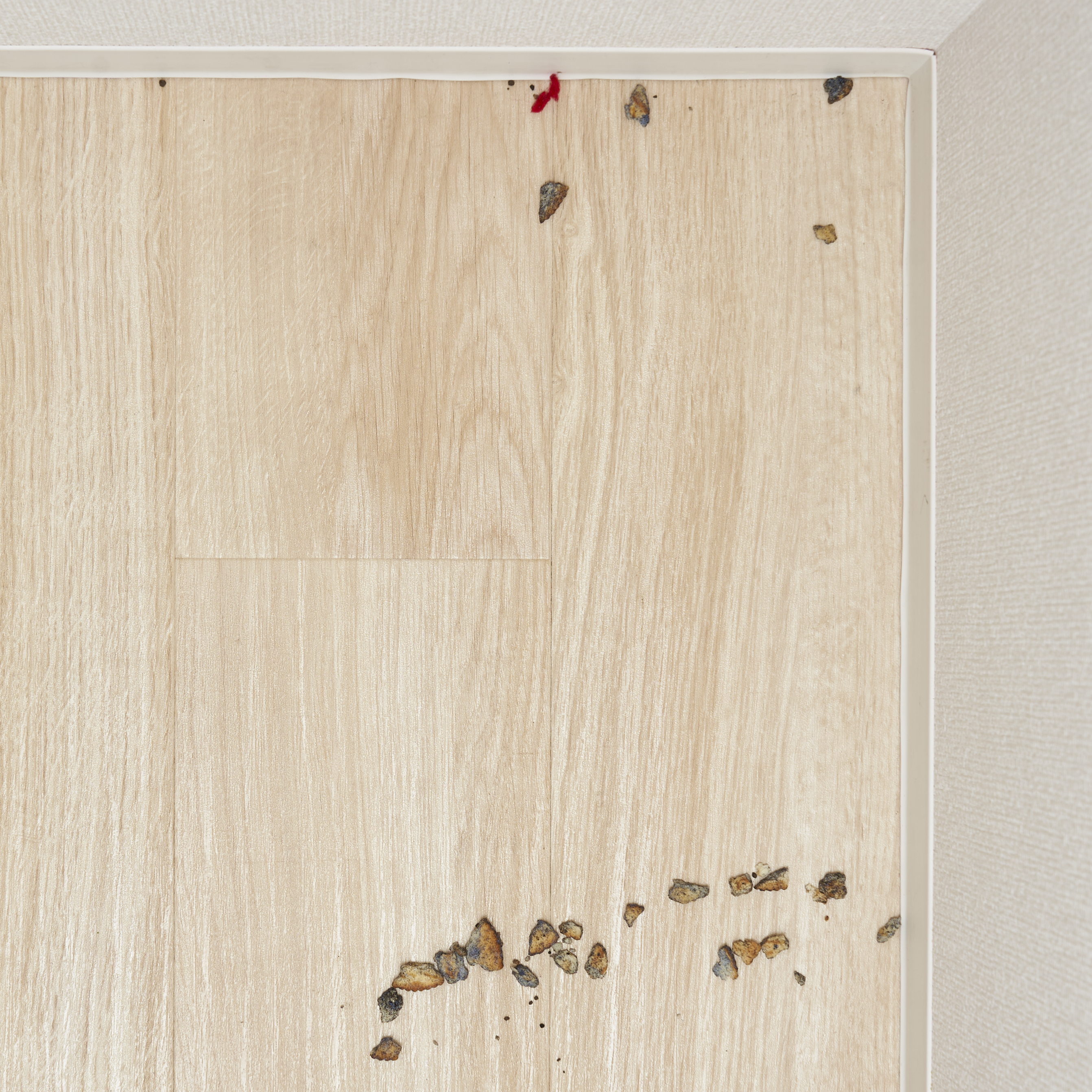 Triflex HX1 5