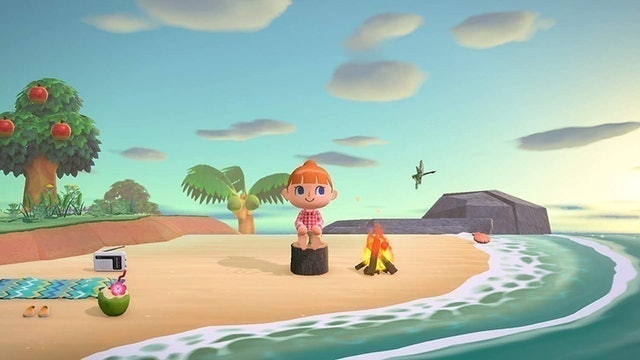 Animal Crossing: New Horizons 2