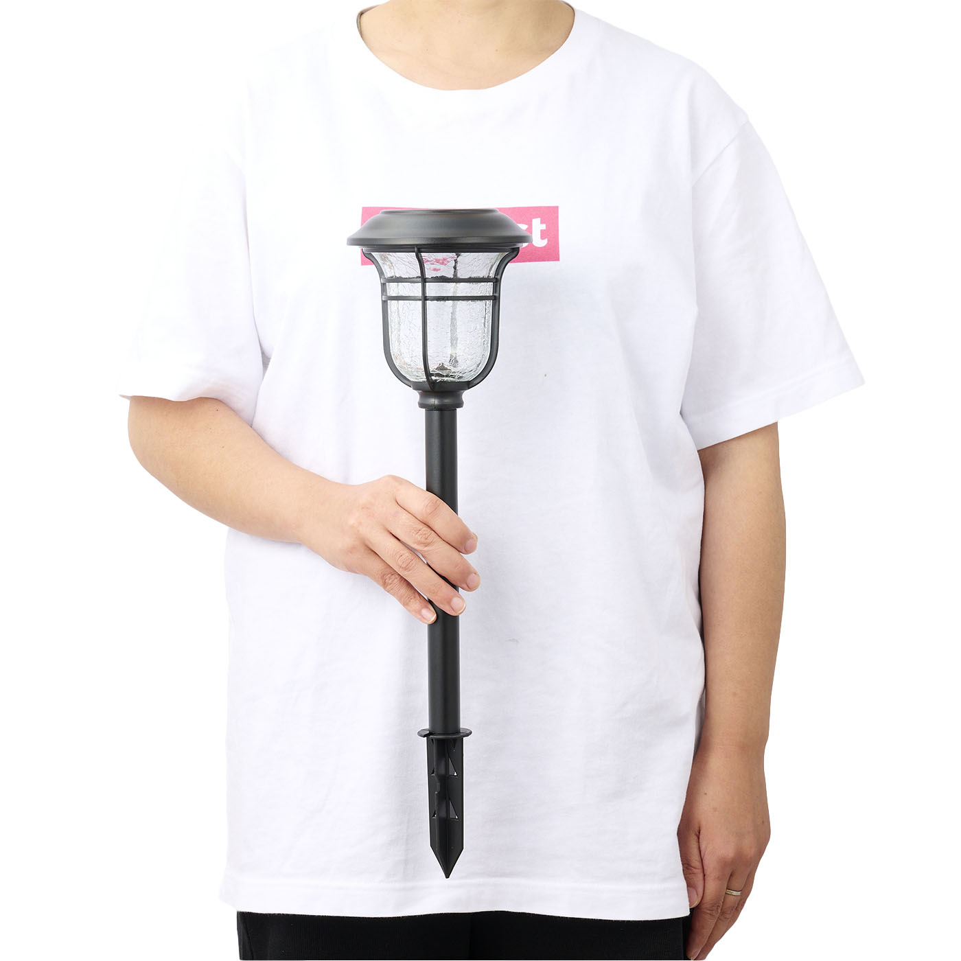 Solar Landscape Path Lights 4