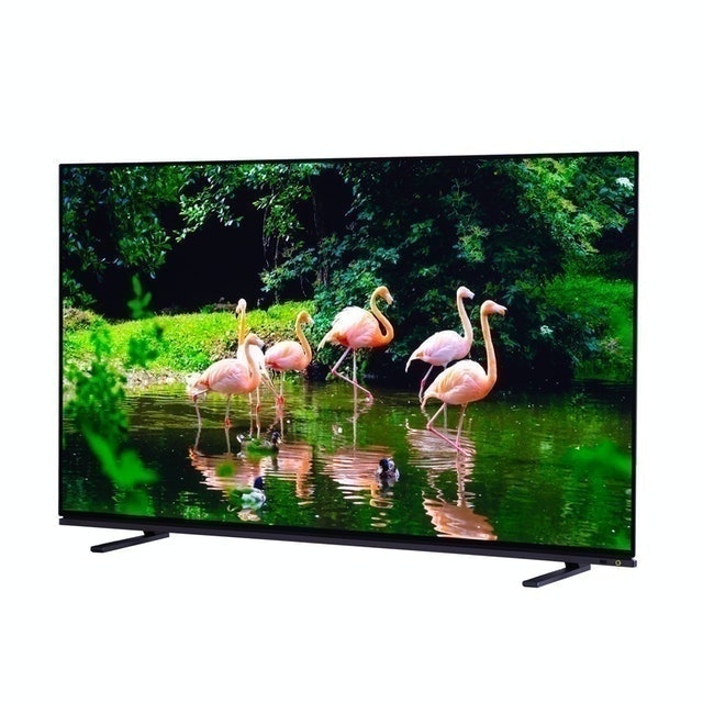 10 Best Tried and True Japanese TVs in 2022 (Audio and Visual Journalist-Reviewed) 1