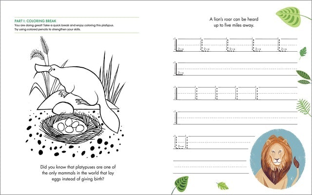 Print Penmanship Workbook for Kids 4