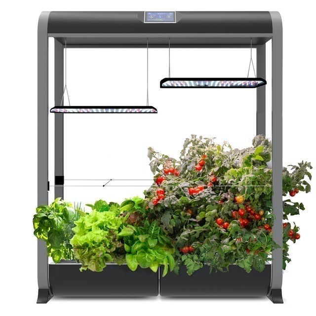 Farm 24 XL