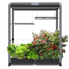 Farm 24 XL