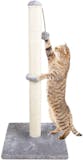 10 Best Sisal Scratching Posts in 2022 (SmartyKat, PetFusion, and More) 4