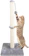 Dimaka Ultimate Cat Scratching Post 1