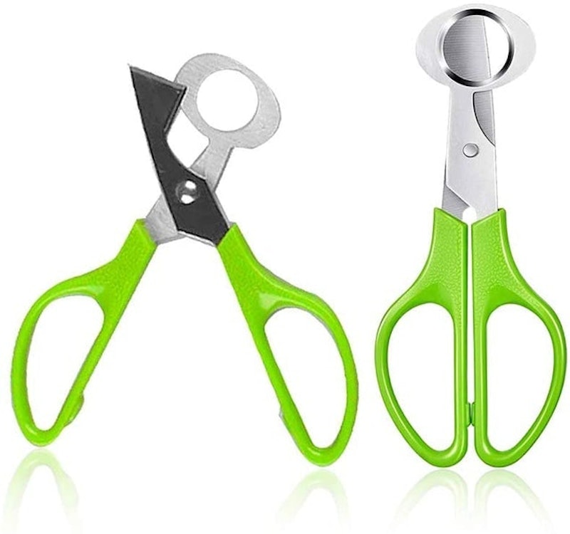 Pigeon Quail Egg Scissor 1