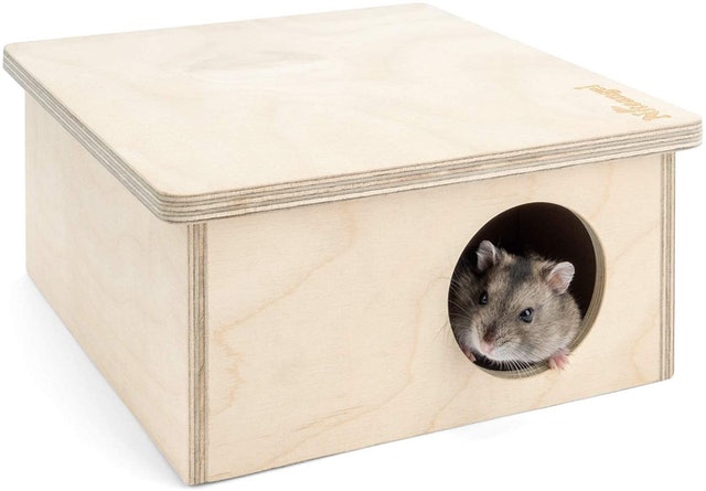9 Best Hamster Hideouts in 2022 (Kaytee, Niteangel, and More) 3
