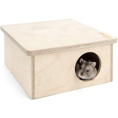 Birch Chamber Hideout