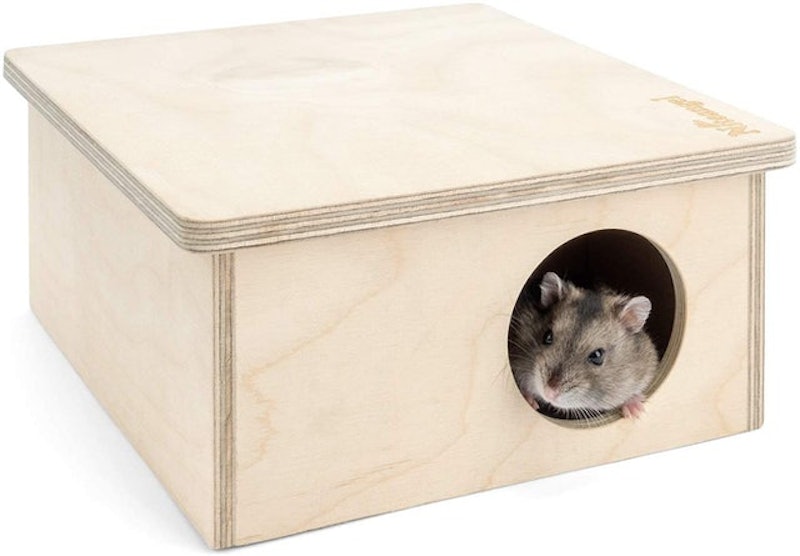 Birch Chamber Hideout 1