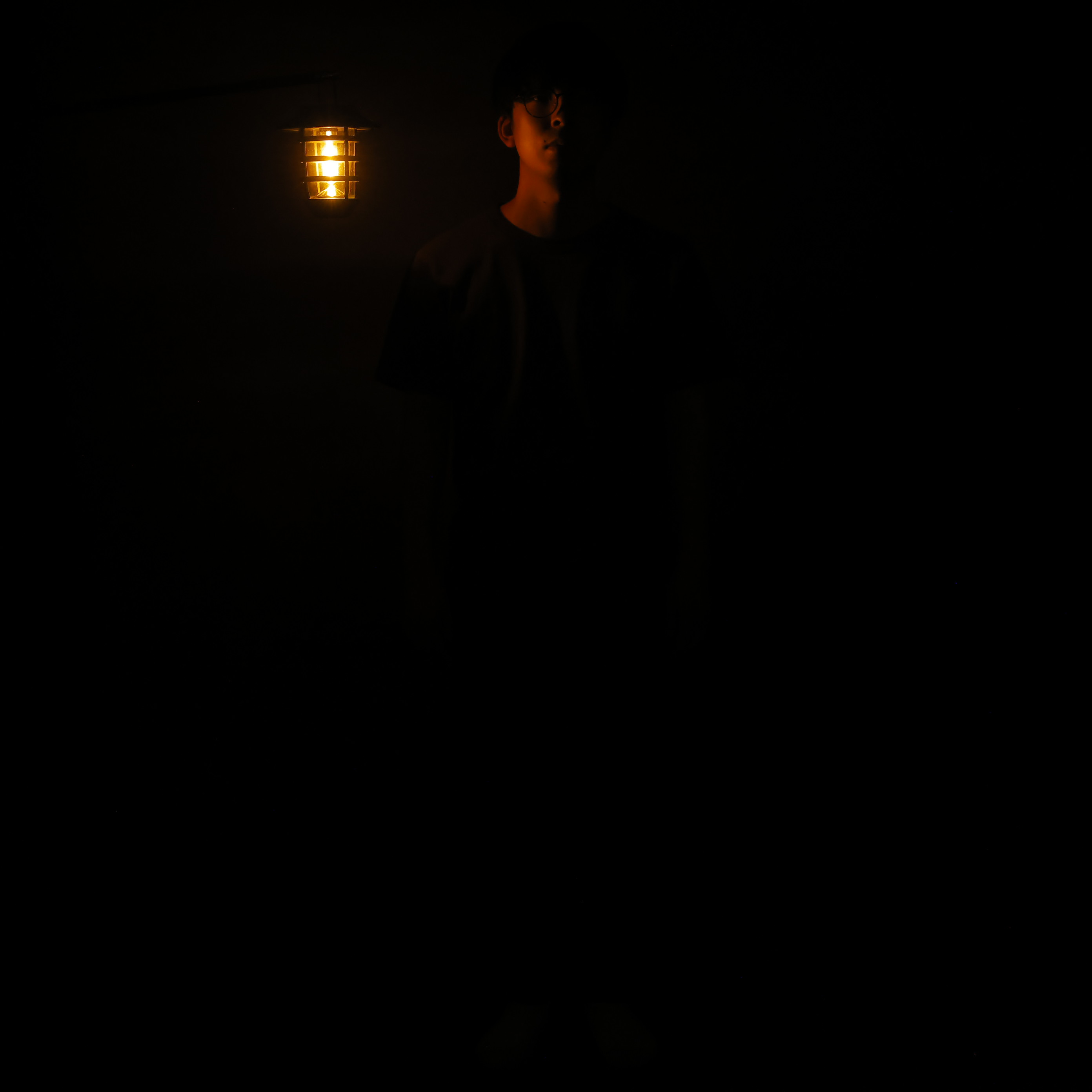 Solar Wall Lanterns 6