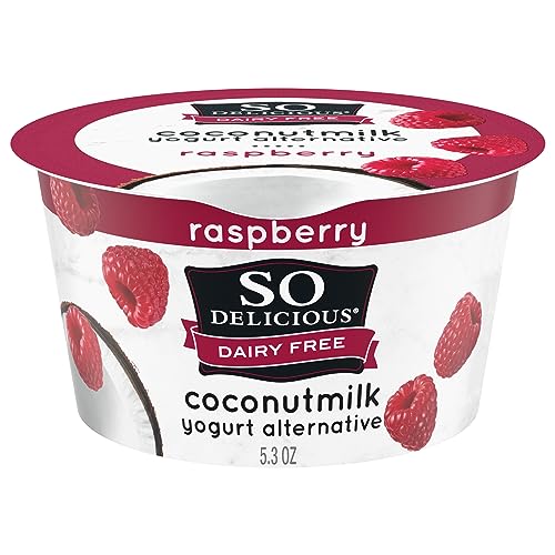 10 Best Vegan Greek Yogurt Alternatives of 2026 4