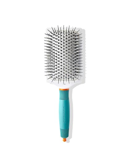 Paddle Brush 1