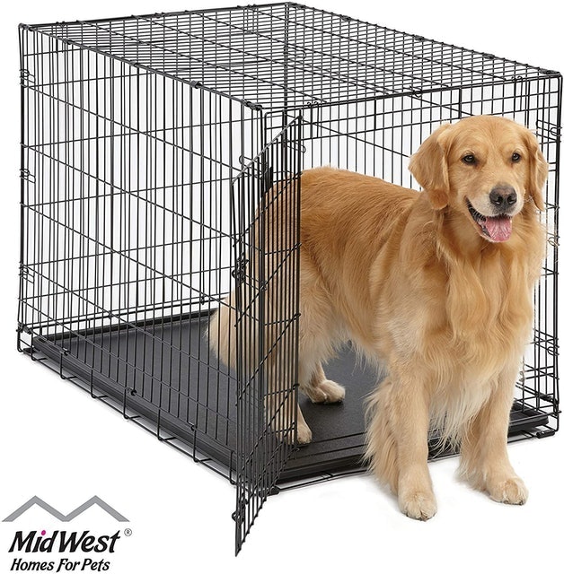 10 Best Dog Crates in 2022 (MidWest, EliteField, and More) 1