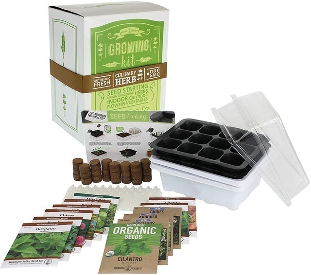 Culinary Herb Growing Kit 1