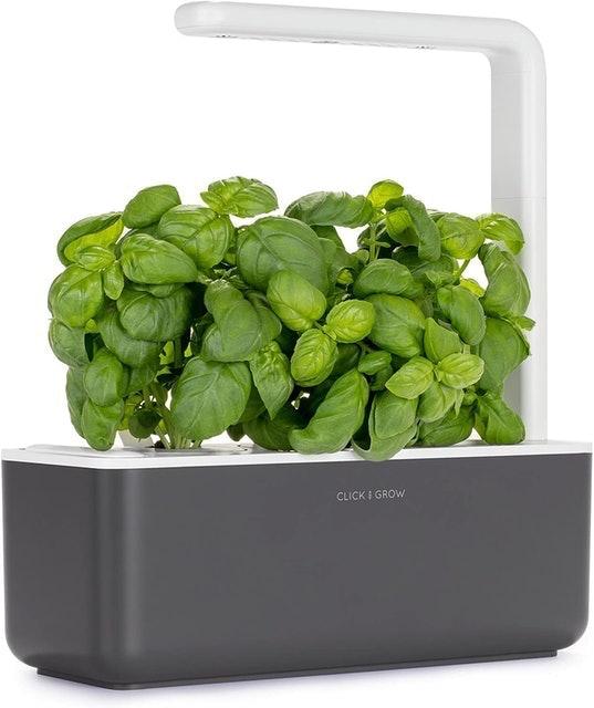 Smart Garden 1