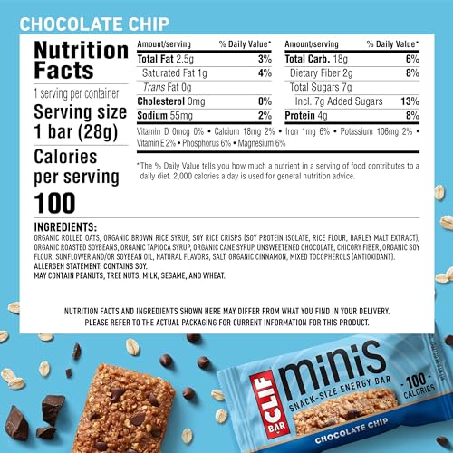 Chocolate Chip Minis 2