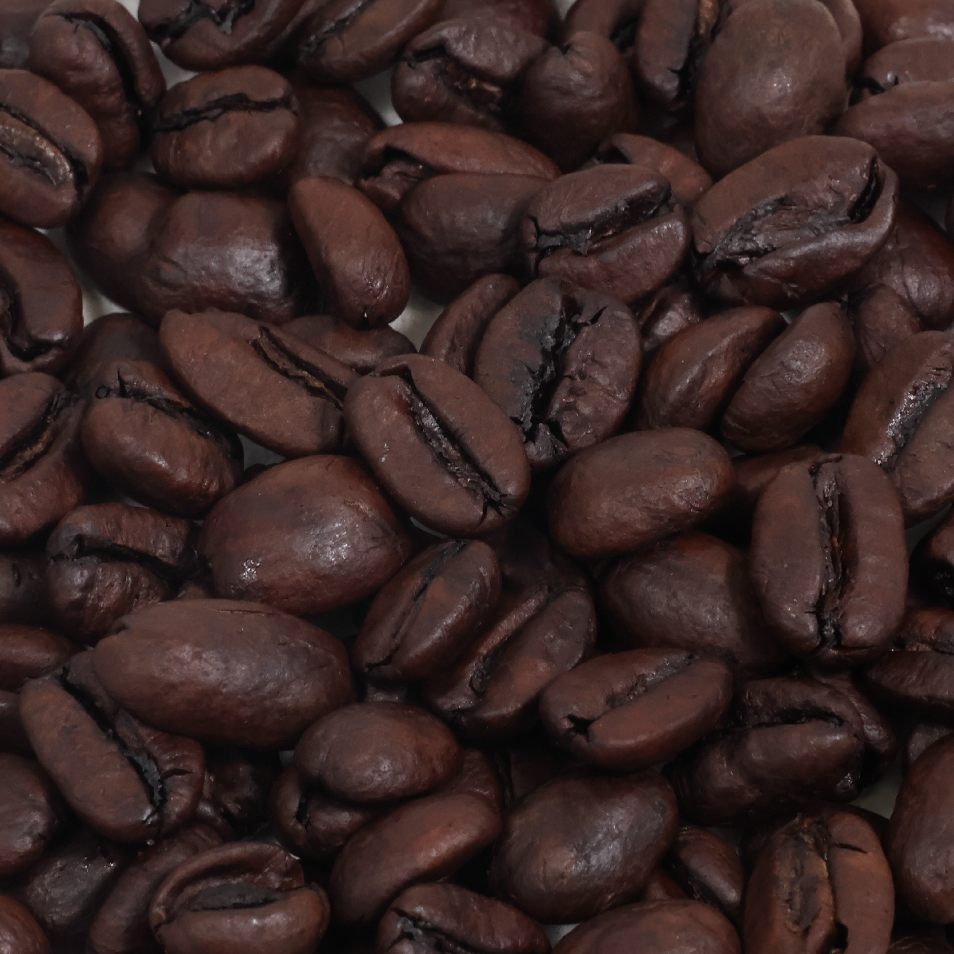 Medium Decaf 3