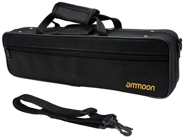 10 Best Flute Cases of 2026 (Sky, Gator, and More) 5