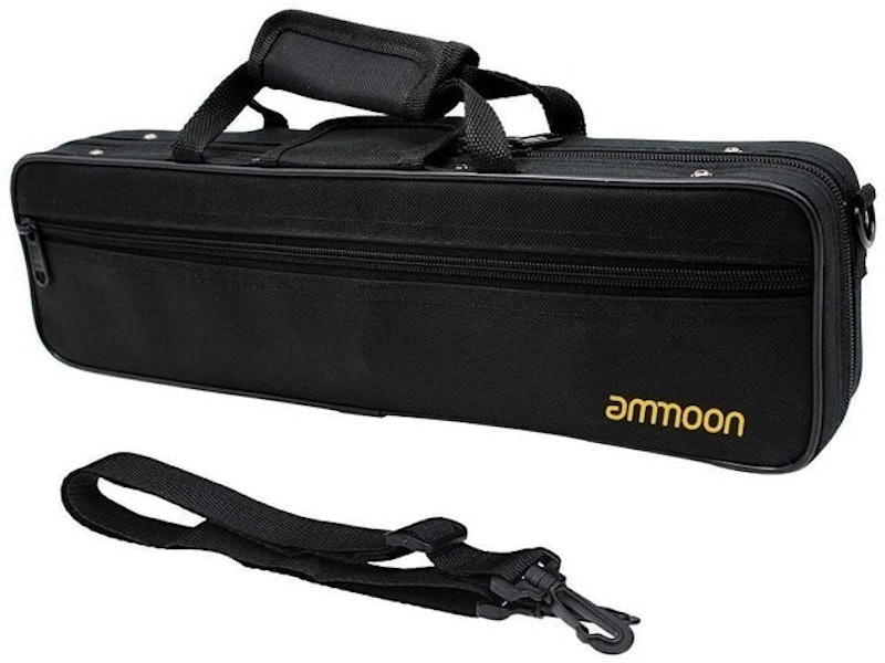16 Holes C Flute Case Gig Bag 1
