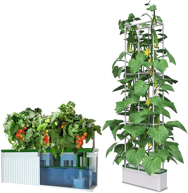 Hydroponics Growing System With Trellis 1