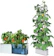 eSuperegrow Hydroponics Growing System With Trellis 1