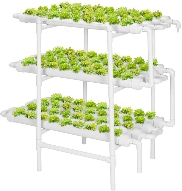 10 Best Hydroponics Kits in 2022 (Master Gardener-Reviewed) 3