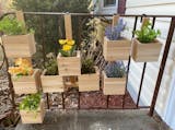 10 Best Railing Planters in 2022 (Master Gardener-Reviewed) 4
