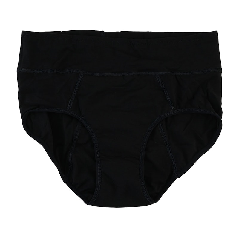 Absorbent Panty 2