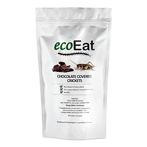 10 Best Edible Insects of 2026 3