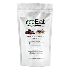 Edible Insects Big Crickets Covered in Dark Chocolate