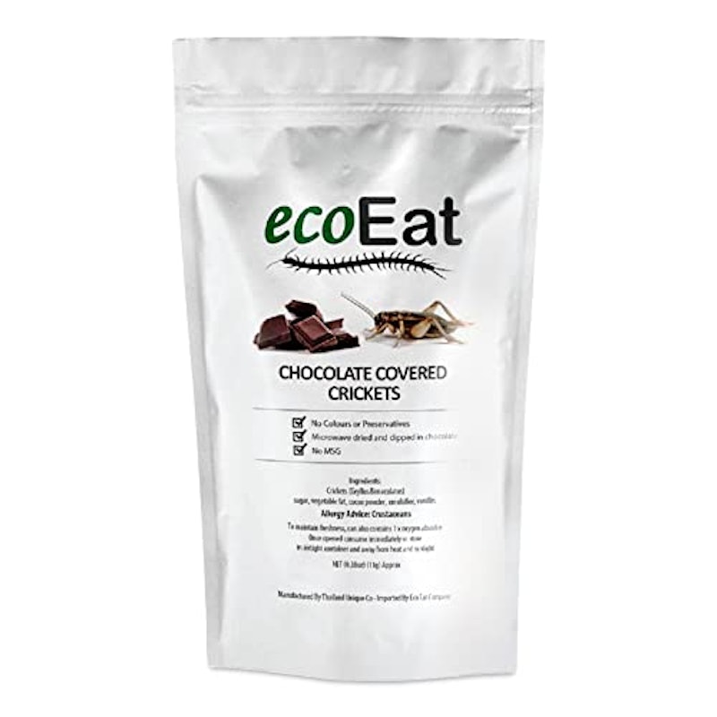 Edible Insects Big Crickets Covered in Dark Chocolate 1