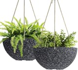10 Best Balcony Planters in 2022 (Master Gardener-Reviewed) 4