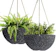 La Jolíe Muse Hanging Planters for Outdoor Plants 1