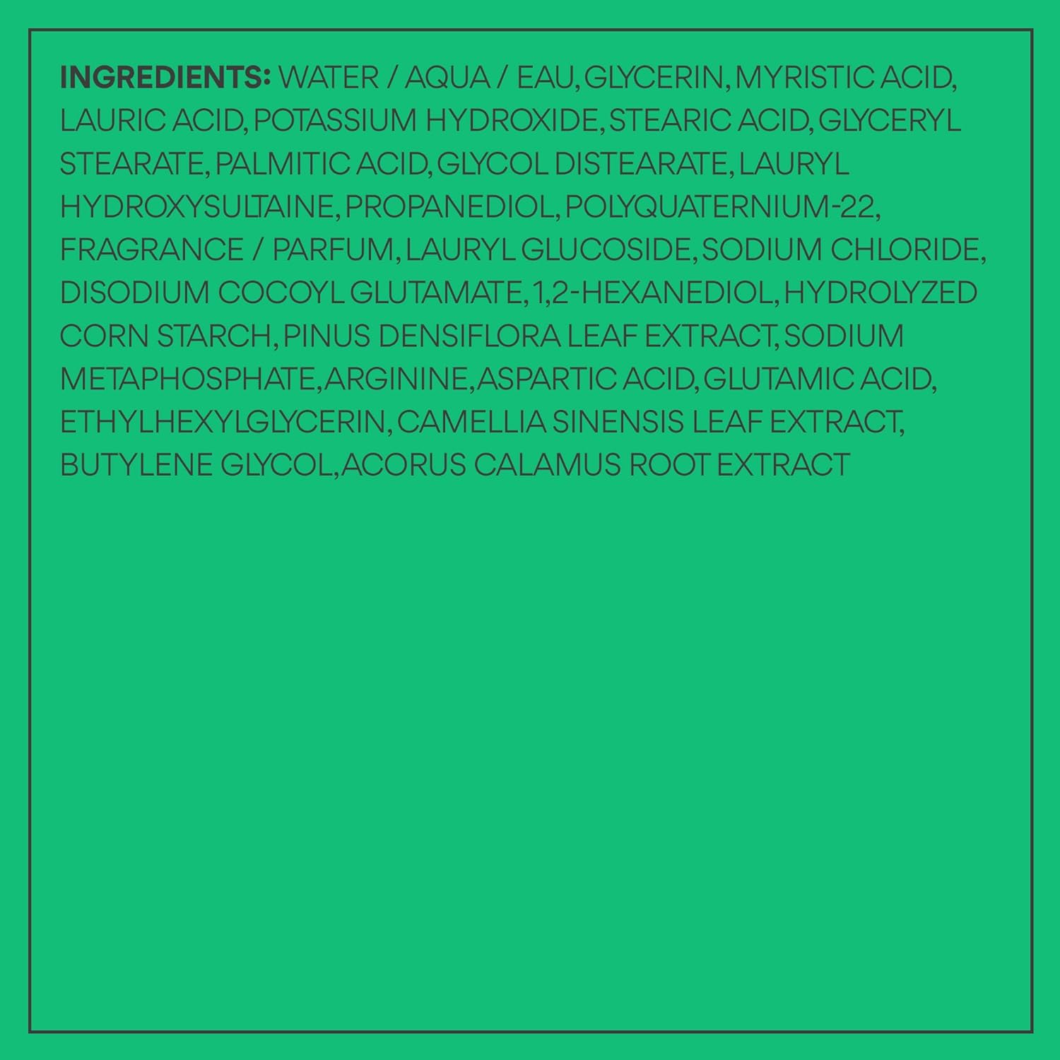 Green Tea Amino Acid Cleansing Foam 2