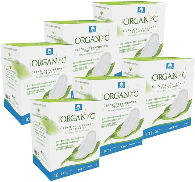 10 Best Organic Pads and Tampons in 2022 (L., Tampon Tribe, and More) 3