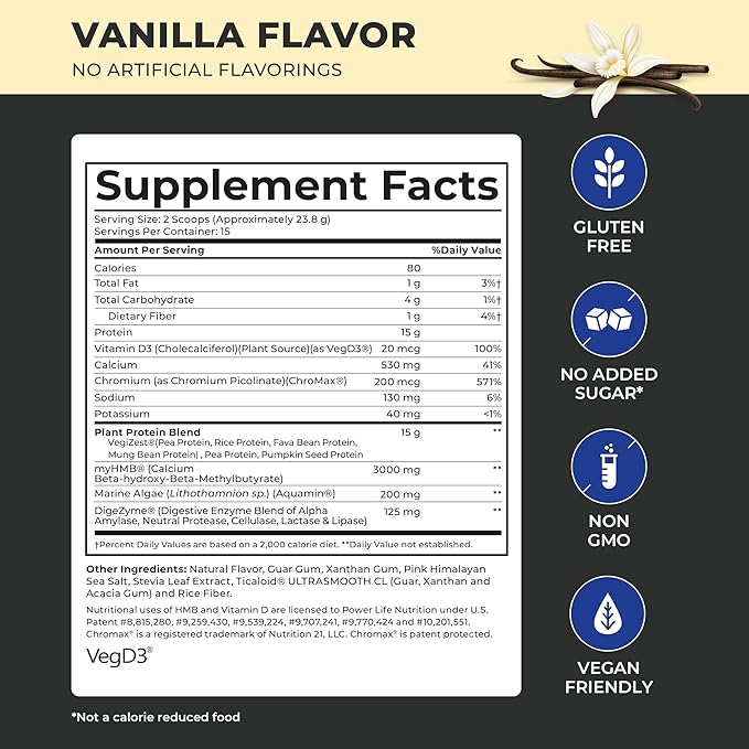 High Impact Plant Protein Powder 2