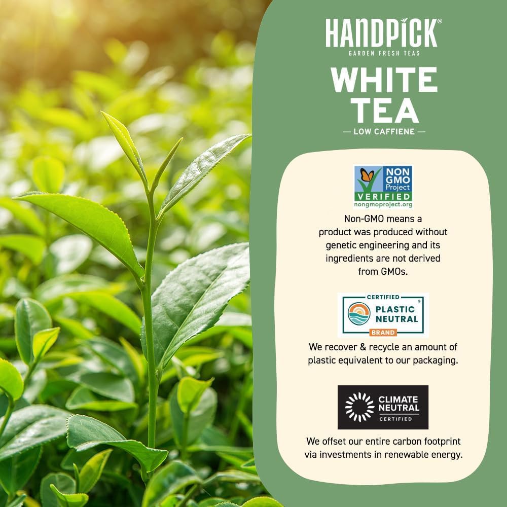 Organic White Tea 4
