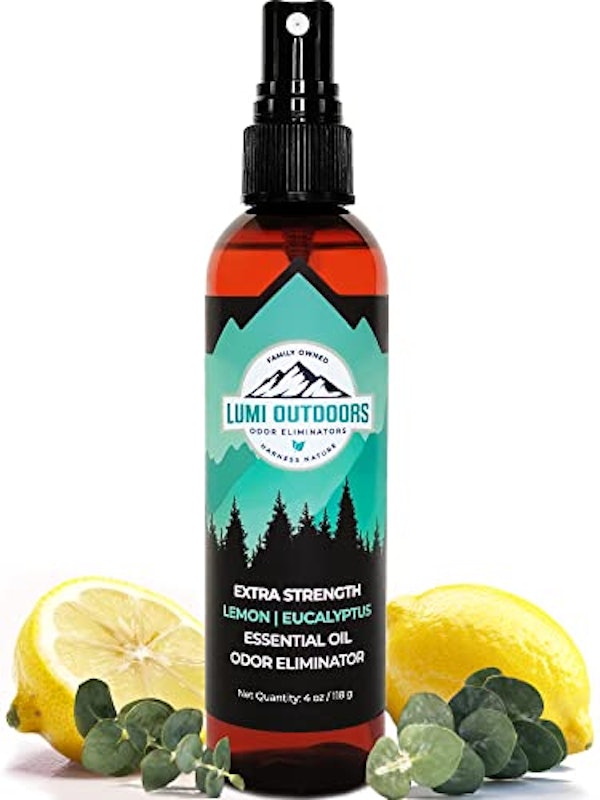 Natural Shoe Deodorizer 1