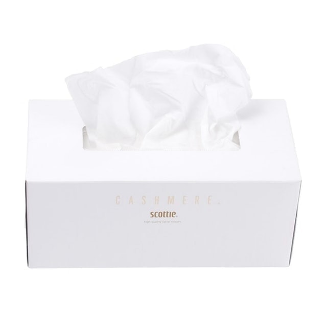 Scottie Cashmere 3