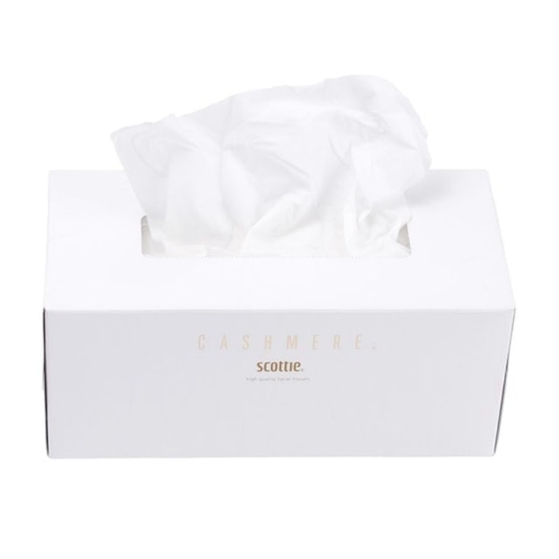 Scottie Cashmere 3