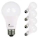 Fluxtronics LED Light Bulb 1