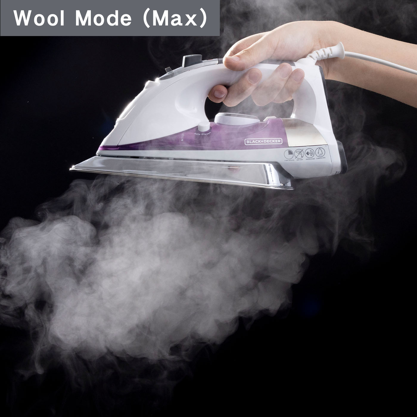 Professional Steam Iron 10