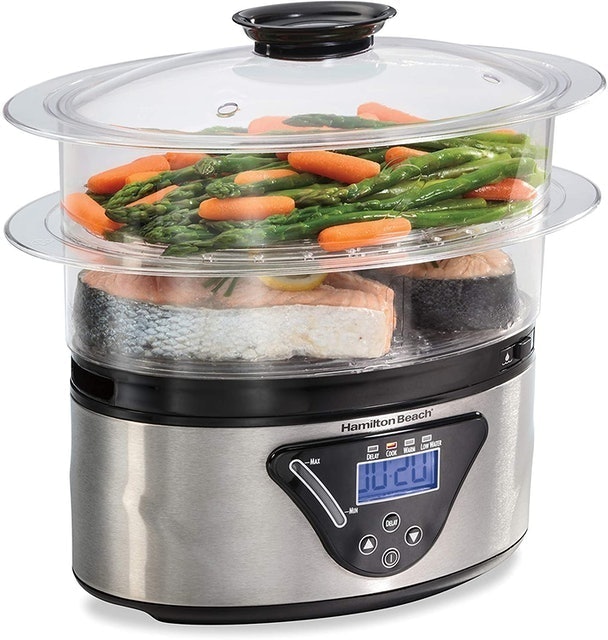 Digital Steamer 1