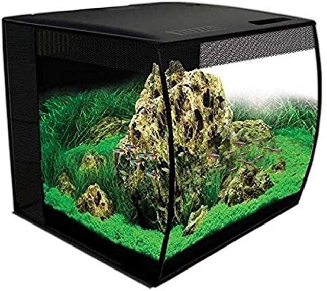 10 Best Fish Tanks of 2026 (Marina, Tetra, and More) 1