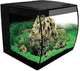 10 Best Fish Tanks of 2026 (Marina, Tetra, and More) 1