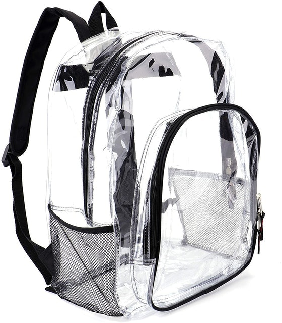 Transparent Security Backpack 1