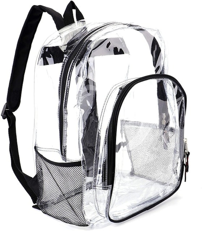 Transparent Security Backpack 1